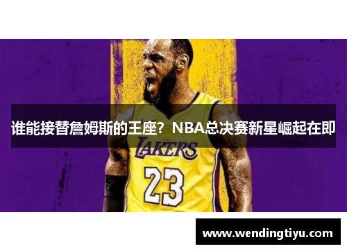 谁能接替詹姆斯的王座？NBA总决赛新星崛起在即