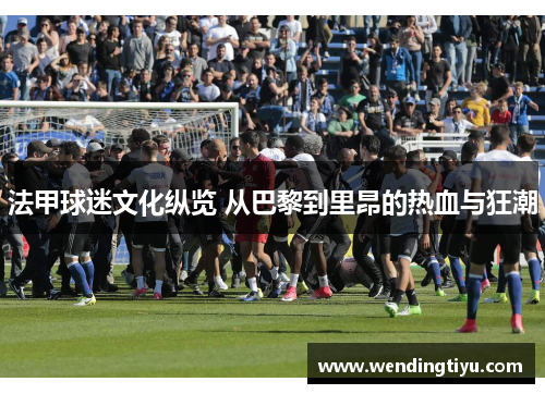 法甲球迷文化纵览 从巴黎到里昂的热血与狂潮