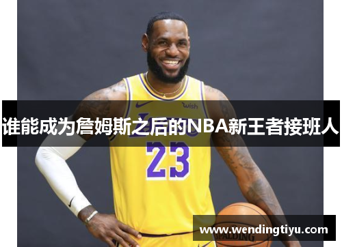 谁能成为詹姆斯之后的NBA新王者接班人