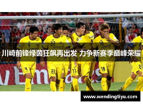 川崎前锋绿茵狂飙再出发 力争新赛季巅峰荣耀