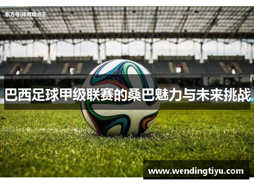 巴西足球甲级联赛的桑巴魅力与未来挑战